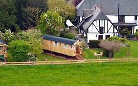 Insolites A Chimay - Gite Et Chambres D'Hotes - Roulottes